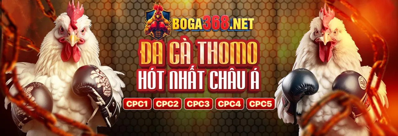 Hỗ trợ và nguồn lực chơi có trách nhiệm