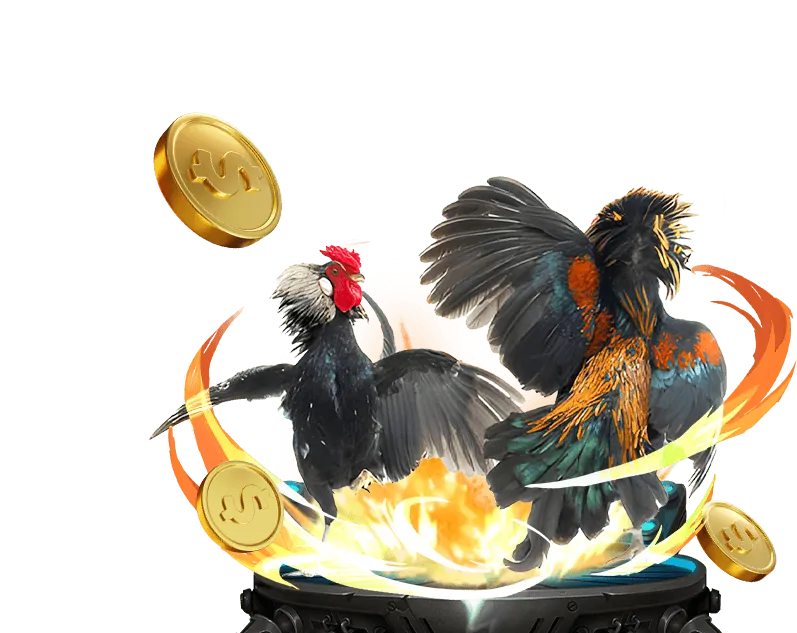 Cá cược bóng đá tại 33win link